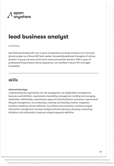 lead business analyst - cover